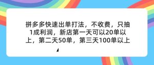 (11738期)拼多多2天起店,只合作不卖课不收费,上架产品无偿对接,只需要你回…-七量思维