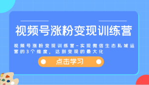 视频号涨粉变现训练营-实现微信生态私域运营的3个维度,达到变现的最大化-七量思维