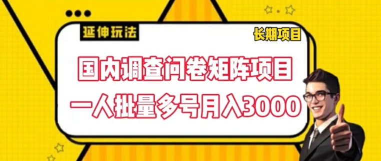 国内调查问卷矩阵项目，一人批量多号月入3000-七量思维