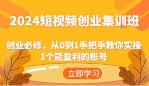2024短视频创业集训班:创业必修,从0到1手把手教你实操1个能盈利的账号-七量思维