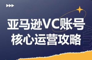 亚马逊VC账号核心玩法解析，实战经验拆解产品模块运营技巧，提升店铺GMV，有效提升运营利润-七量思维