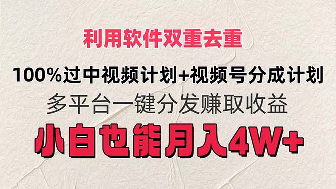 （11862期）利用软件双重去重，100%过中视频+视频号分成计划小白也可以月入4W+-七量思维