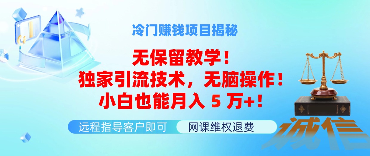 （11864期）冷门赚钱项目无保留教学！独家引流技术，无脑操作！小白也能月入5万+！-七量思维