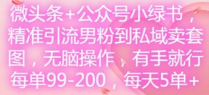 微头条+公众号小绿书，精准引流男粉到私域卖套图，无脑操作，有手就行，每单99-200，每天5单-七量思维