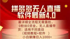 (11891期)拼多多无人直播软件最新4.0,最详细全流程无需露脸,0粉丝0资金, 小白…-七量思维