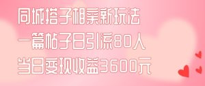 同城搭子相亲新玩法一篇帖子引流80人当日变现3600元(项目教程+实操教程)-七量思维