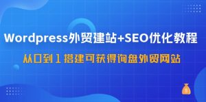 (11911期)WordPress-外贸建站+SEO优化教程:从0到1搭建可获得询盘外贸网站-57节课-七量思维