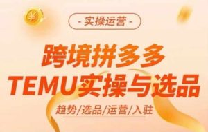 跨境拼多多TEMU实操与选品，多多temu跨境选品运营实操-七量思维