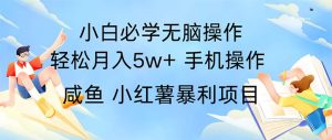 (11953期)2024热门暴利手机操作项目,简单无脑操作,每单利润最少500-七量思维