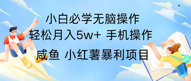 （11953期）2024热门暴利手机操作项目，简单无脑操作，每单利润最少500-七量思维