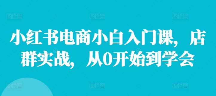 小红书电商小白入门课，店群实战，从0开始到学会-七量思维