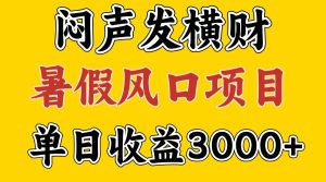 30天赚了7.5W 暑假风口项目，比较好学，2天左右上手-七量思维