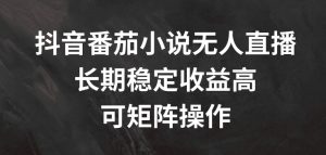 抖音番茄小说无人直播,长期稳定收益高,可矩阵操作-七量思维