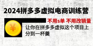 (12024期)2024拼多多虚拟电商训练营 不s单 不改销量 做虚拟项目分一杯羹(更新10节)-七量思维