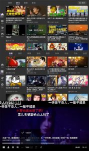 BBLL v1.5.0 B站第三方软件-七量思维