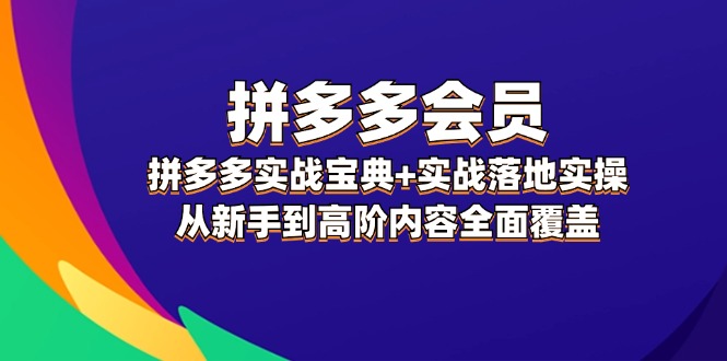 （12056期）拼多多 会员，拼多多实战宝典+实战落地实操，从新手到高阶内容全面覆盖-七量思维