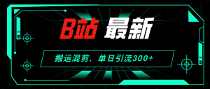(12085期)B站最新,搬运混剪,单日引流300+创业粉-七量思维