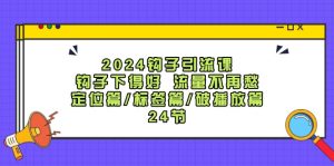 2024钩子引流课：钩子下得好流量不再愁，定位篇/标签篇/破播放篇/24节-七量思维