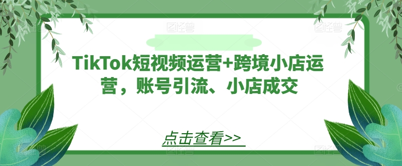 TikTok短视频运营+跨境小店运营，账号引流、小店成交-七量思维