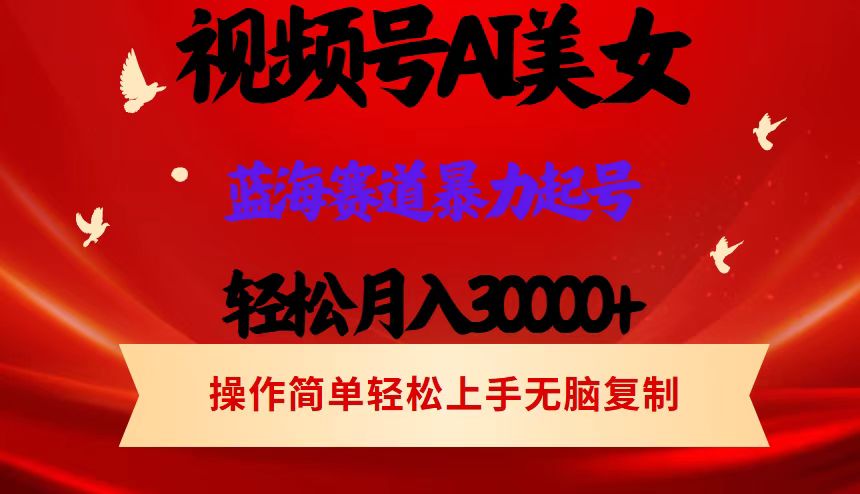 （12178期）视频号AI美女跳舞，轻松月入30000+，蓝海赛道，流量池巨大，起号猛，当…-七量思维