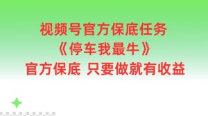 视频号官方保底任务,停车我最牛,官方保底只要做就有收益-七量思维