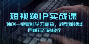 （12193期）短视频 IP实战课，独创一键复制学习秘籍，转战新领域，月赚五万轻松行-七量思维