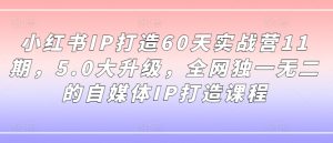 小红书IP打造60天实战营11期，5.0大升级，全网独一无二的自媒体IP打造课程-七量思维