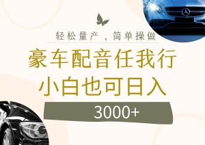 （12206期）不为人知的暴力小项目，豪车配音，日入3000+-七量思维