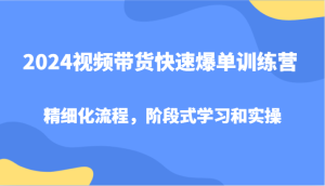 2024视频带货快速爆单训练营,精细化流程,阶段式学习和实操-七量思维