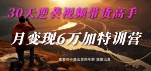30天逆袭视频带货高手，单月变现6万加特训营-麦子甜-七量思维