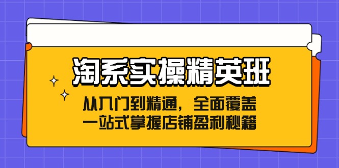 （12276期）淘系实操精英班：从入门到精通，全面覆盖，一站式掌握店铺盈利秘籍-七量思维