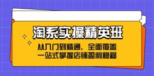 淘系实操精英班:从入门到精通,全面覆盖,一站式掌握店铺盈利秘籍-七量思维