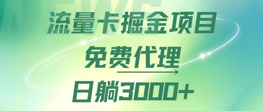 （12321期）流量卡掘金代理，日躺赚3000+，变现暴力，多种推广途径-七量思维