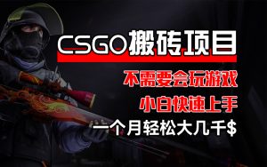 （12332期）CSGO 装备搬砖项目，操作简单，不需要会玩游戏，小白也能快速上手，一…-七量思维