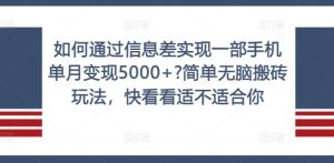 如何通过信息差实现一部手机单月变现5000+?简单无脑搬砖玩法，快看看适不适合你-七量思维