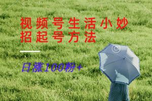 视频号生活小妙招分享赛道， 起号涨粉新方法，日涨100粉-七量思维