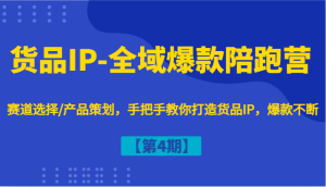 货品IP-全域爆款陪跑营【第4期】赛道选择/产品策划,手把手教你打造货品IP,爆款不断-七量思维
