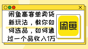 (12387期)闲鱼高客单卖货新玩法,教你如何选品,如何通过一个品收入1万+-七量思维