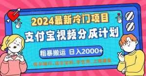 （12407期）2024最新冷门项目！支付宝视频分成计划，直接粗暴搬运，日入2000+，有…-七量思维