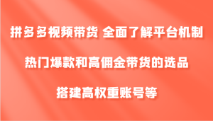 拼多多视频带货 全面了解平台机制、热门爆款和高佣金带货的选品,搭建高权重账号等-七量思维