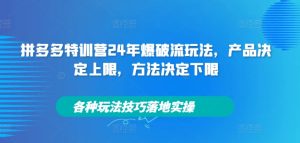 拼多多特训营24年爆破流玩法,产品决定上限,方法决定下限,各种玩法技巧落地实操-七量思维