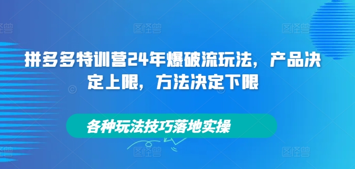 拼多多特训营24年爆破流玩法，产品决定上限，方法决定下限，各种玩法技巧落地实操-七量思维