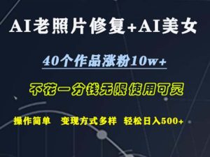 (12489期)AI老照片修复+AI美女玩发  40个作品涨粉10w+  不花一分钱使用可灵  操…-七量思维