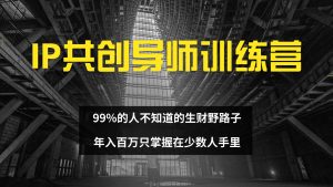 （12504期）IP共创导师训练营 99%的人不知道的生财野路子 只掌握在少数人手里-七量思维