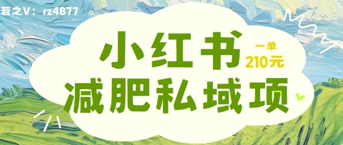 小红书减肥粉，私域变现项目，一单就达210元，小白也能轻松上手-七量思维