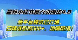 (12505期)最新小红书暴力引流法4.0, 全平台模式已打通,日精准引流300+,加爆微…-七量思维