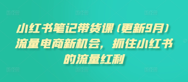 小红书笔记带货课(更新9月)流量电商新机会，抓住小红书的流量红利-七量思维