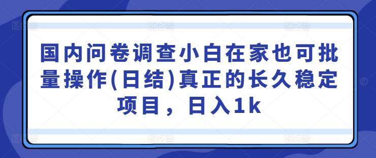 国内问卷调查小白在家也可批量操作(日结)真正的长久稳定项目，日入1k-七量思维