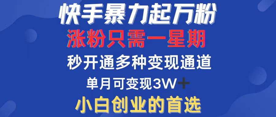 （12651期）快手暴力起万粉，涨粉只需一星期，多种变现模式，直接秒开万合，小白创…-七量思维