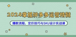 2024掌握拼多多运营精髓：爆款流程、定价技巧与SKU设计实战课-七量思维